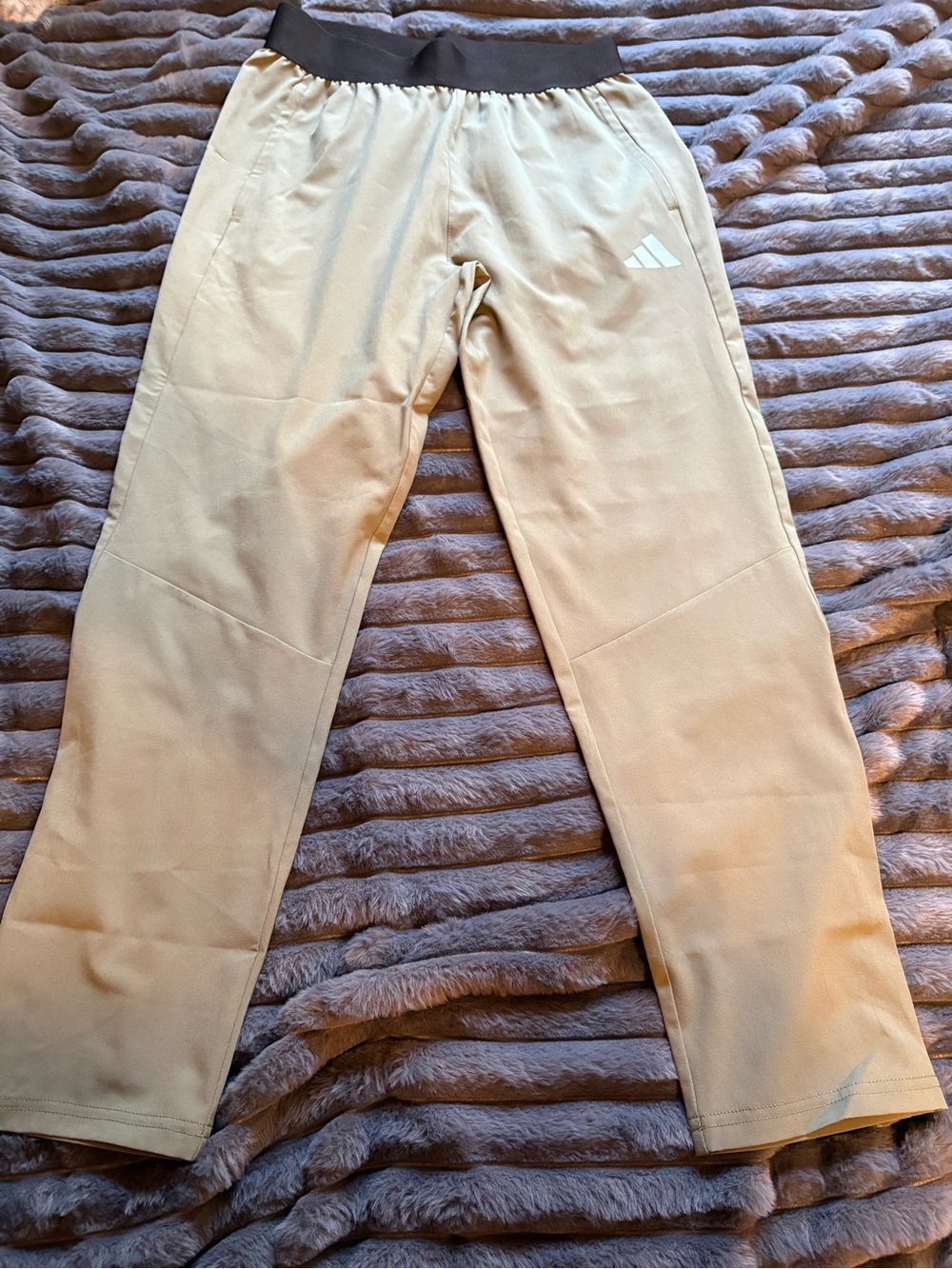 adidas boys Light olive green lightweight pants with Black Waistband